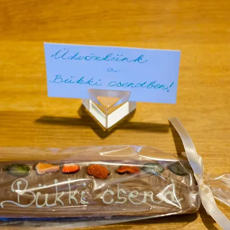 Buekki Csend Vendeghaz *