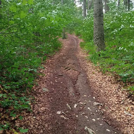 Buekki Csend Vendeghaz * Bukkszentkereszt